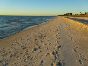 uitgestrekte stranden | Captiva Island